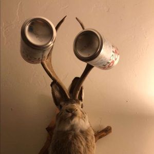 Meet your Posher, Hunter